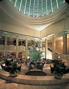 ��C���̗L�Q��������������A���𑽗p�������r�[